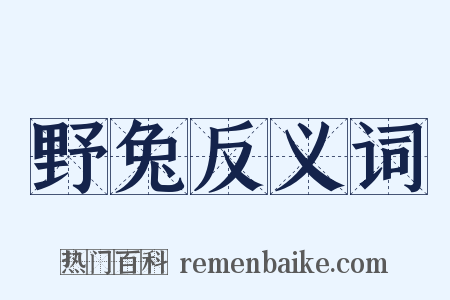 野兔反义词是什么意思的图片
